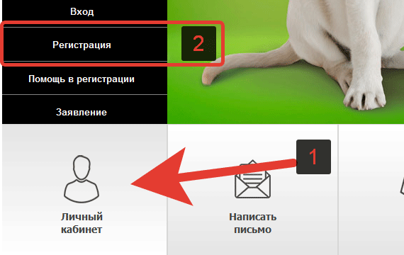 Карта лояльности «Башнефть»: регистрация и активация