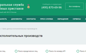 Как проверить долги у судебных приставов через ГосУслуги, сайт Госавтоинспекции, Федеральную службу судебных приставов