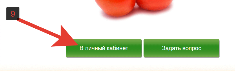 Карта лояльности «Томато»: регистрация и активация